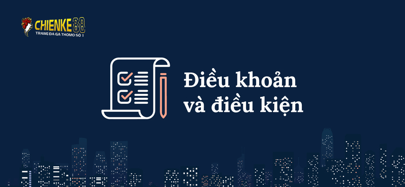 Người chơi có thể đồng ý hoặc từ chối điều khoản điều kiện bổ sung